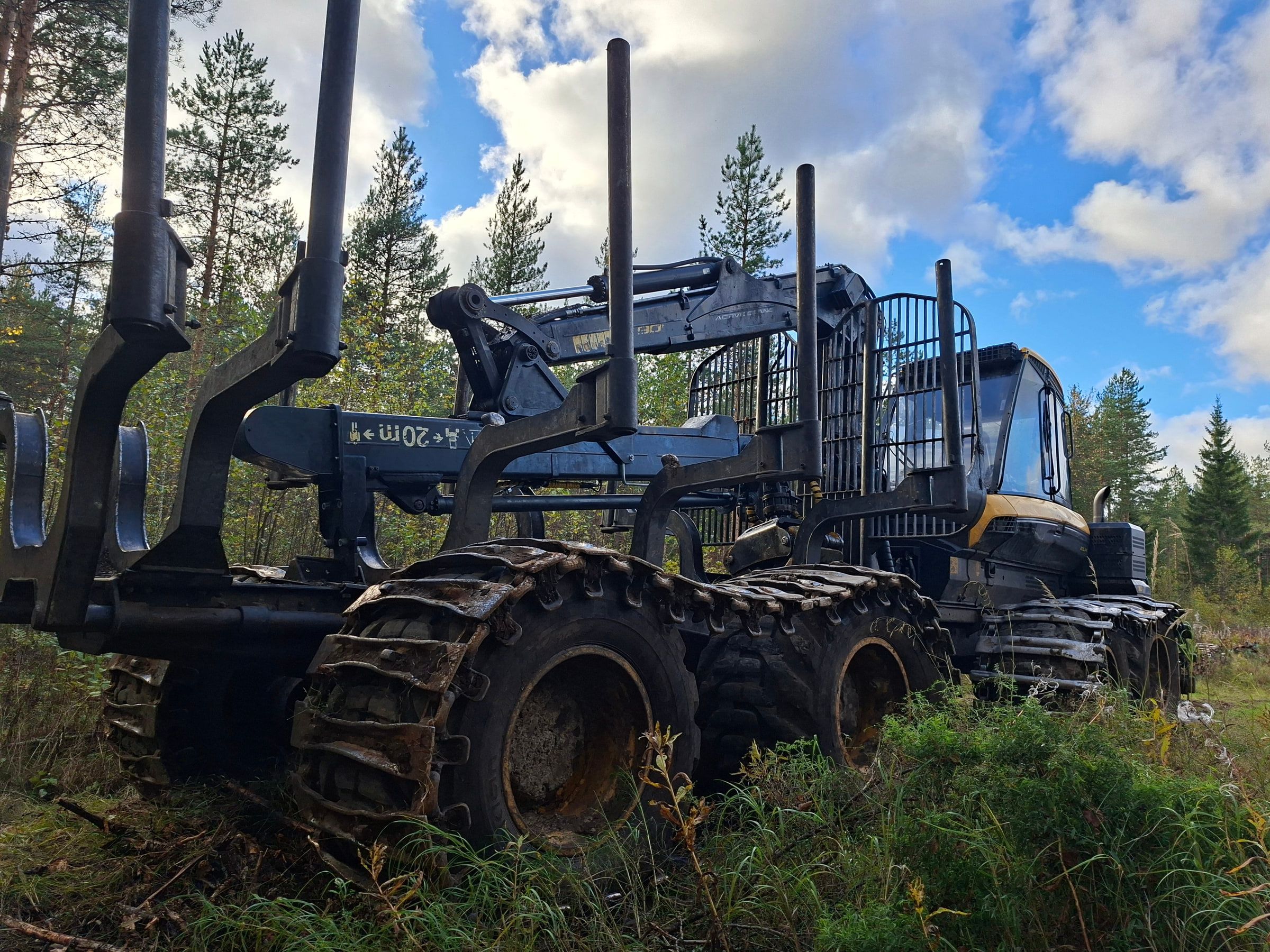 Kaksi ajokonetta metsäisellä konepihalla.